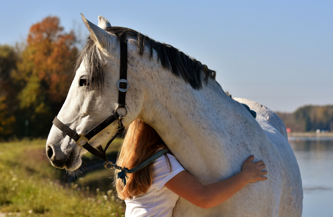 Woman Hugging Her Pet Horse
