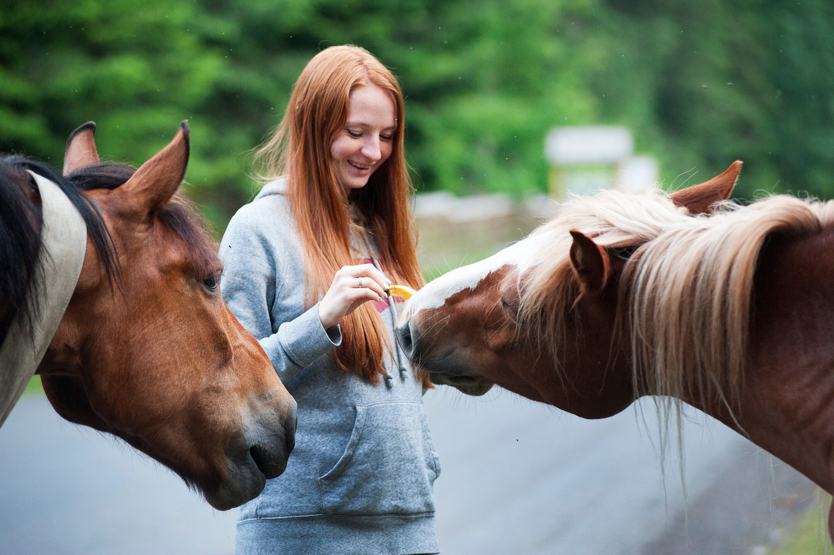 Close-Up Photography of Woman Near Horses